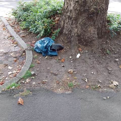 Open311 file from 2026-06-24 11:25:35