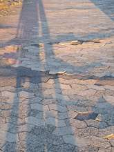 Open311 file from 2022-07-15 22:00:39