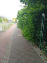 Open311 file from 2022-07-27 16:48:40