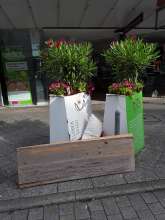 Open311 file from 2022-08-30 10:10:22