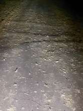 Open311 file from 2022-08-29 18:07:38