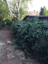 Open311 file from 2022-08-24 06:40:05