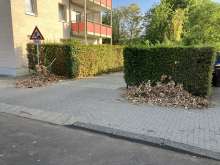 Open311 file from 2022-08-30 14:11:32