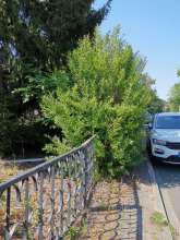 Open311 file from 2022-08-12 09:08:52