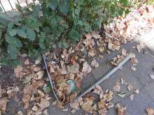 Open311 file from 2022-09-01 15:49:27