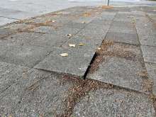 Open311 file from 2022-09-21 09:06:00