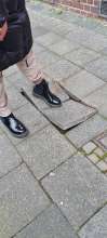 Open311 file from 2023-02-01 09:02:41