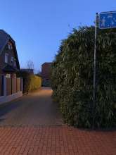 Open311 file from 2023-01-23 15:01:53
