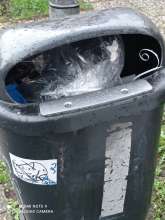 Open311 file from 2023-03-23 13:35:27