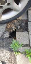 Open311 file from 2023-06-29 15:44:43