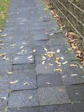 Open311 file from 2023-11-20 07:07:07