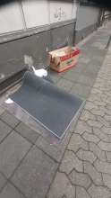 Open311 file from 2024-10-31 13:13:48