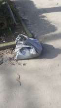 Open311 file from 2025-03-04 12:20:38