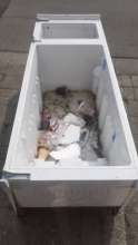 Open311 file from 2025-03-25 13:04:10