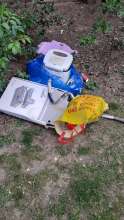 Open311 file from 2025-03-31 09:55:25