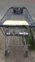 Open311 file from 2025-03-31 10:22:20