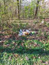 Illegal entsorgter Müllhaufen: 2025-04-03
