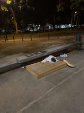 Open311 file from 2025-05-12 22:26:24