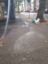 Open311 file from 2025-06-26 09:28:59