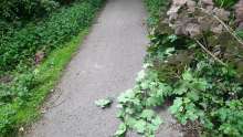 Open311 file from 2025-06-10 14:07:10