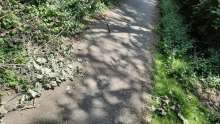 Open311 file from 2025-06-18 14:25:24
