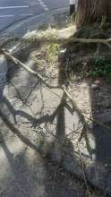 Open311 file from 2025-06-20 09:59:09