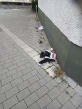 Open311 file from 2025-08-05 13:43:20