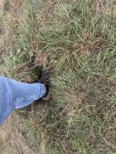 Open311 file from 2025-08-26 17:50:59