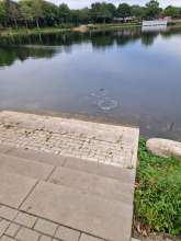 Open311 file from 2025-09-18 08:18:50