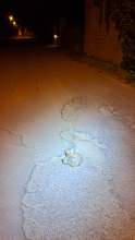 Open311 file from 2025-09-19 21:39:18