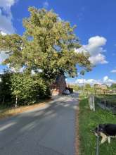 Open311 file from 2025-09-04 09:59:15