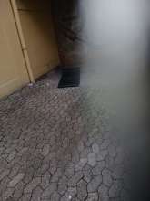 Open311 file from 2025-10-06 11:15:00