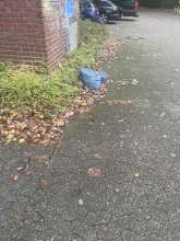 Open311 file from 2025-10-07 08:08:43