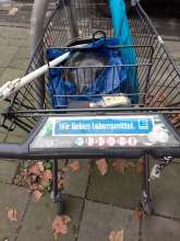 Open311 file from 2025-11-26 12:33:30