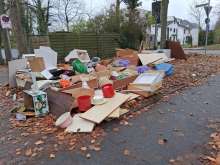 Open311 file from 2025-11-24 12:57:28