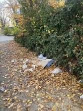 Open311 file from 2025-11-12 13:02:07