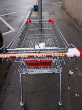 Open311 file from 2025-12-08 12:44:57