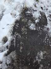 Da kann man die Überreste der Markierung erkennen.