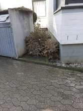 Open311 file from 2026-02-25 12:36:06