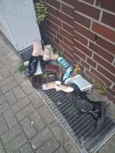 Open311 file from 2026-04-13 07:50:50