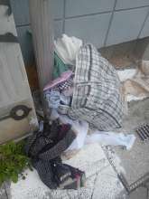 Open311 file from 2026-05-18 12:20:26