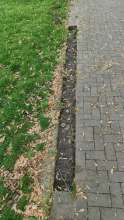 Open311 file from 2026-05-08 13:54:25