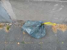 Open311 file from 2026-07-21 09:03:33