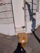 Open311 file from 2026-08-12 10:37:10