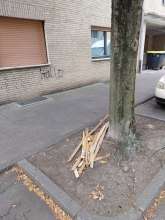 Open311 file from 2026-08-25 11:11:45