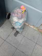 Open311 file from 2026-08-19 12:23:42